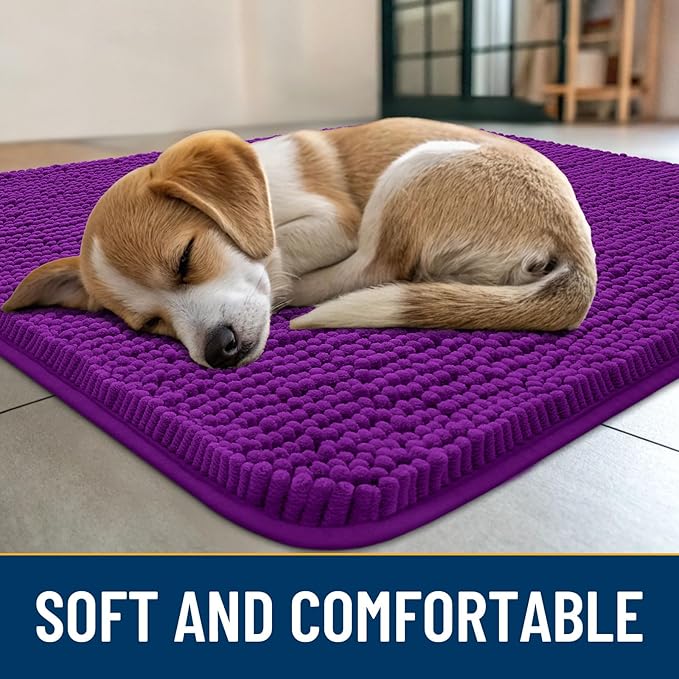 Smiry Dog Door Mat for Muddy Paws 24x16, Absorbs Moisture and Dirt Doormat, Non-Slip Washable Quick Dry Chenille Front Door Mat Indoor Entrance, Entryway Carpet for Inside Floor, Purple