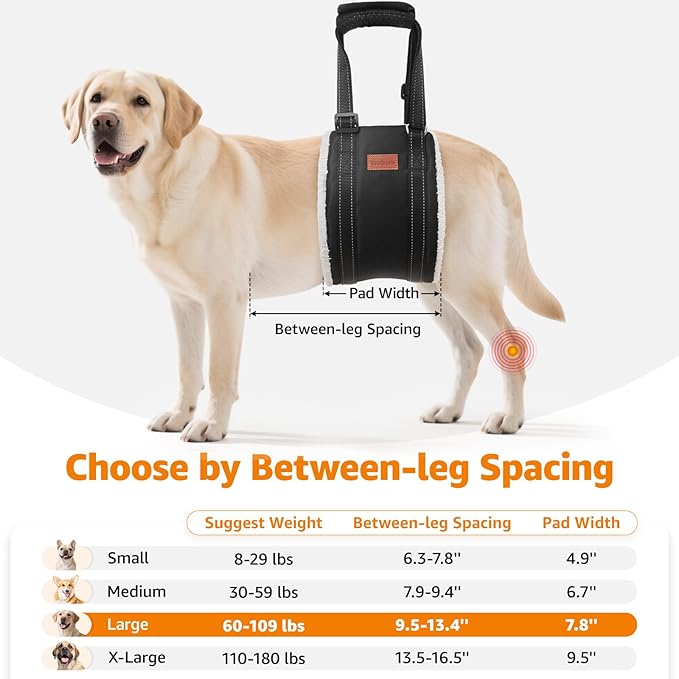LOOBANI Portable Dog Sling for Back Legs, Hip Support Harness to Help Lift Rear for Canine Aid Old K9 Cruciate Ligament Rehabilitation