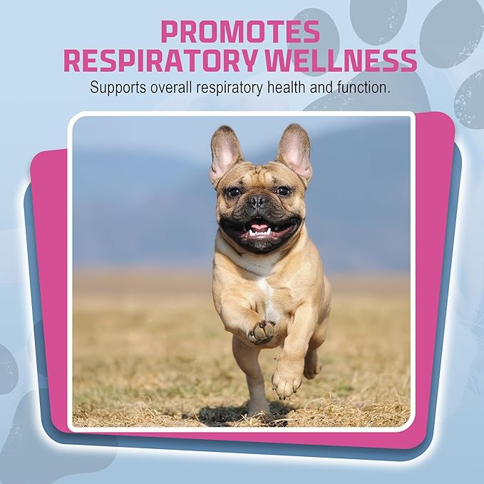 PetSilver Immune Support, Natural Nebulizer Solution, Promotes Respiratory Health in Cats & Dogs, Allergies, Sinus & Cough Treatment, Easy to Use, Patented Chelated Silver, Made in The USA, 16 fl oz