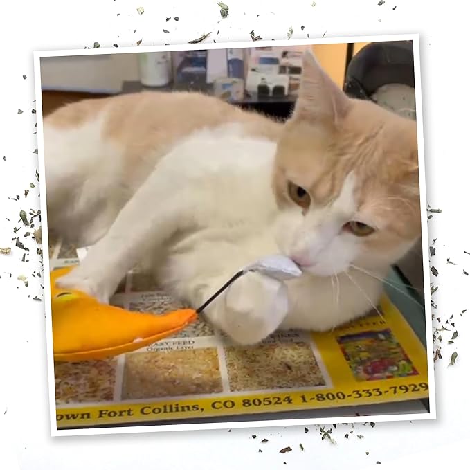 Meowijuana Sleepy Time Bundle | Get Hung Refillable Moon and Stars Toy and Mice Dreams Catnip Blend | Promotes Play and Cat Health | Includes North American Organic Catnip