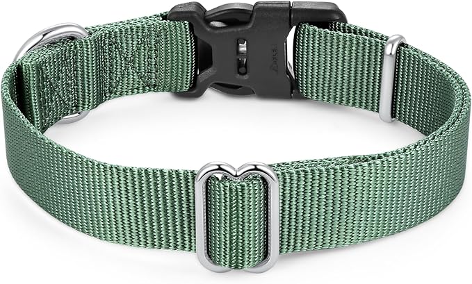 Mikivery Nylon Dog Collar with Quick Release Buckle Soft Adjustable Sturdy for Small Medium Large Dogs Emerald,M