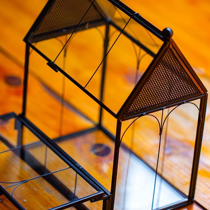 NCYP Small Glass Spider Enclosure with Mesh for Jumping Spiders, Snails, Micro House Shaped Front Opening Plant Terrarium, Home Decor Black, 5.8" x 3.8" x 7" (Terrarium Only)