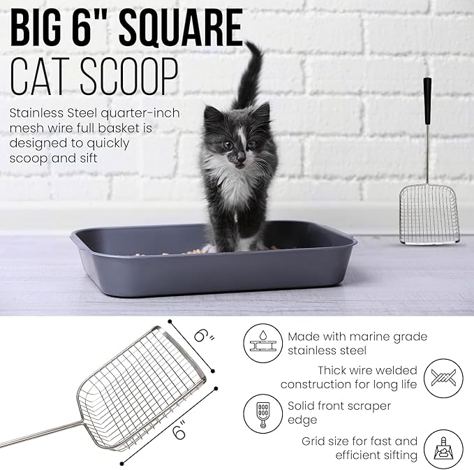 Sand Dipper Cat Poop Scooper & Chicken Poop Scooper - Rugged Big 6" Square Stainless Steel Long Handle for Home Kitty Litter Scoop & Farm Chicken Compatible Coop Scooper (Scoop)