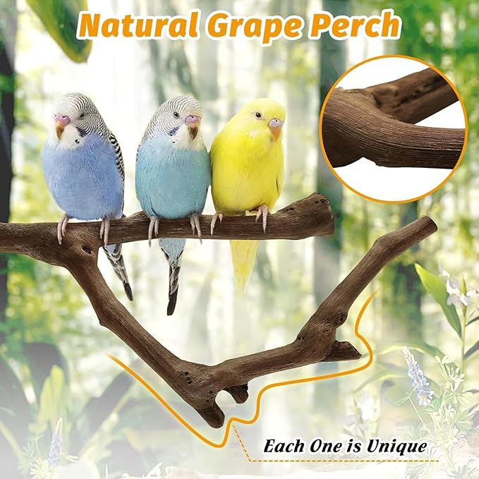 kathson Natural Parrot Perch Bird Stand Pole Wild Grape Stick Paw Grinding Fork Parakeet Climbing Standing Branches Toy Chewable Cage Accessories for Small Budgies Cockatiels Lovebirds