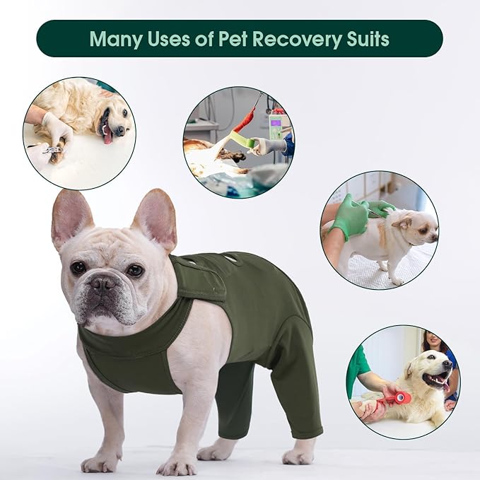 Kuoser Thigh Wound Protective Sleeve for Dogs, Dog Surgery Recovery Suit for Rear Legs, Dog Recovery Sleeve for Female Male Dogs, Dog Onesie After Surgery Pet Surgical Suit for Spay Neuter, Green L