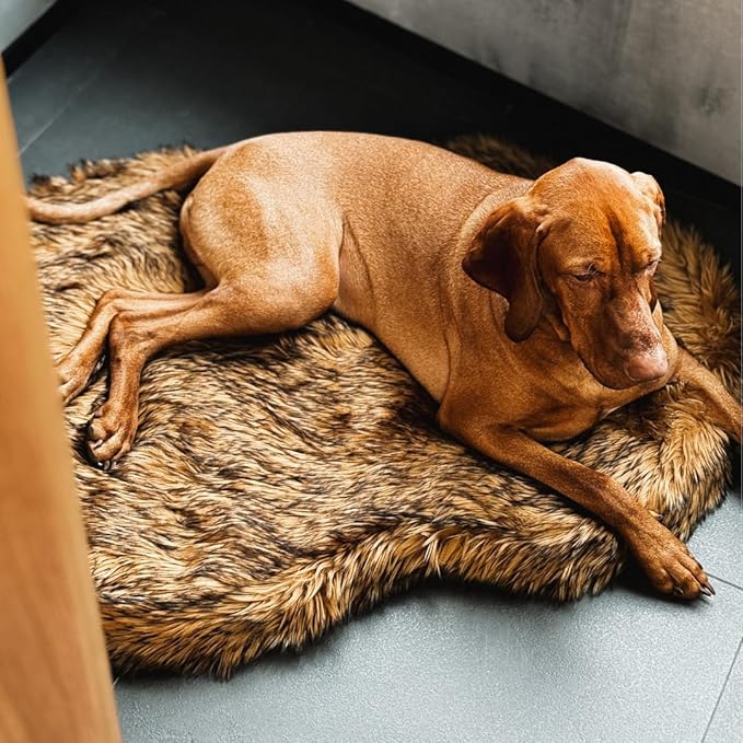 IHAPPYDOG Luxury Faux Fur Orthopedic Dog Bed, Memory Foam Dog Bed for Small, Medium, Large and XL Pets, Fluffy Pet Bed with Waterproof and Washable Cover (Brown, 40"x25")