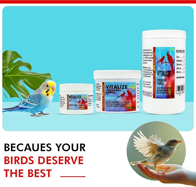 Morning Bird Vitalize, Supplement for Sick, Injured, or Stressed Caged Birds; Dehydration and Exhaustion Treatment for Parakeets, Cockatiels, Budgies, Finches, Canaries, and Parrots, 16 oz
