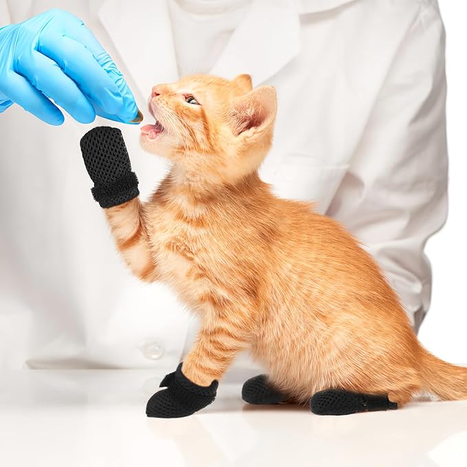 Cat Booties to Prevent Scratching: 4pcs AntiScratch Cat Claw Covers for Feeding Medicine, Pet Grooming, Bathing Shaving Checking, and Nail Trimming, Black Pet Shoes Socks Caps Mittens Paw Protector M