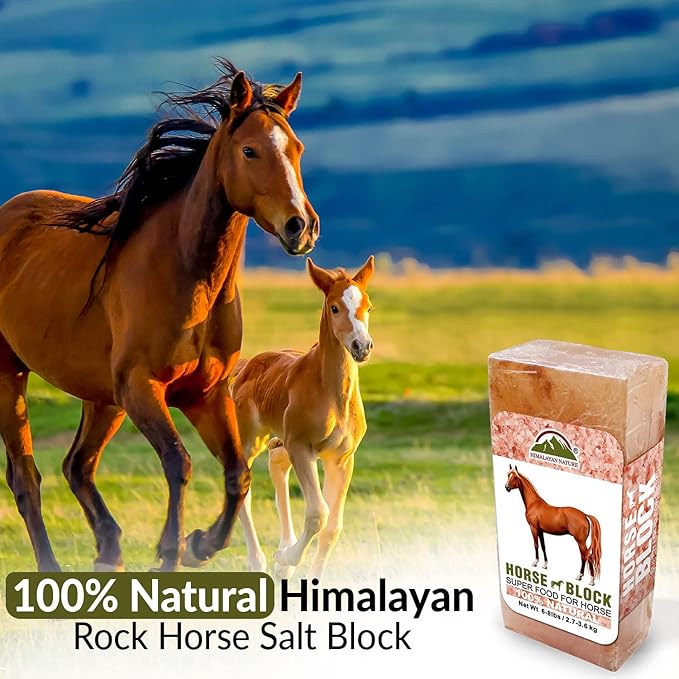Licking Salt for Horse, 100% Pure Himalayan Pink Salt Chunks, 6 LBS, Animal Feed Salt Chunks, Horse Salt Licks, Natural Mineral Salt - Pack of 2