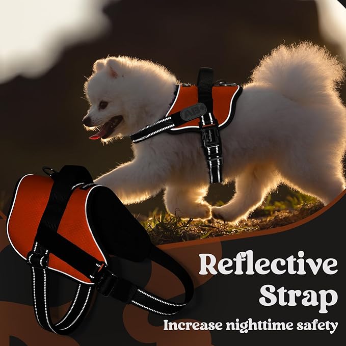 rabbitgoo Dog Harness for Large, Easy On Pet Vest with One Buckle, No Pull Adjustable Service Harness with D-Ring & Handle, Reflective for Safety Walking, Training, Orange, XL