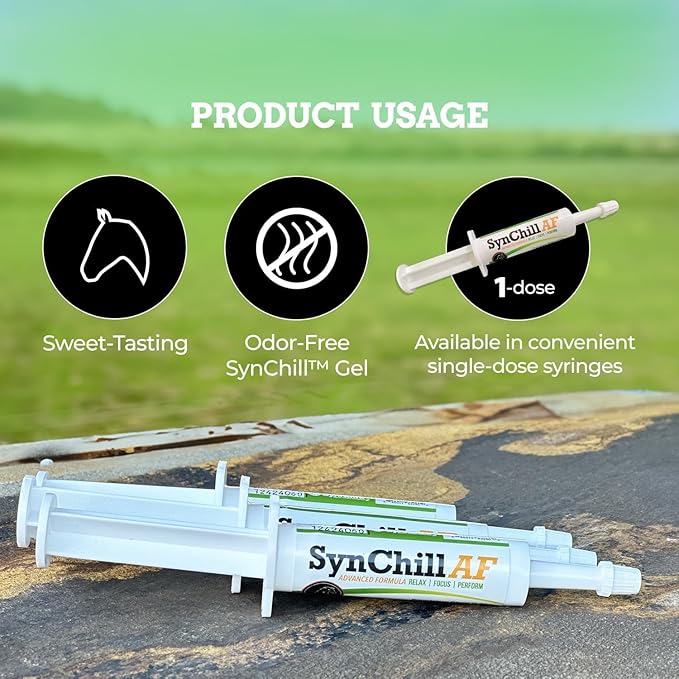 SynChill AF Calming Gel for Nervous Horses - Single Serving - Advanced Formula with L-Theanine, Increased Potency, 100% Natural Supplement, Disposition & Confidence Support for Horses - 25 Pack