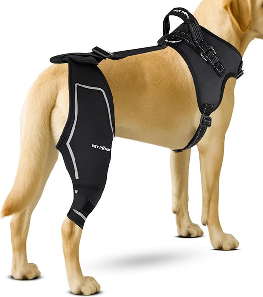 Petpanm- Adjustable Dog Knee Brace- Right Hind Leg with Integreted Harness- Premium Support for Torn ACL, Sprains & Strains Recovery, Enhances Mobility, Comfortable Neoprene- (Small)