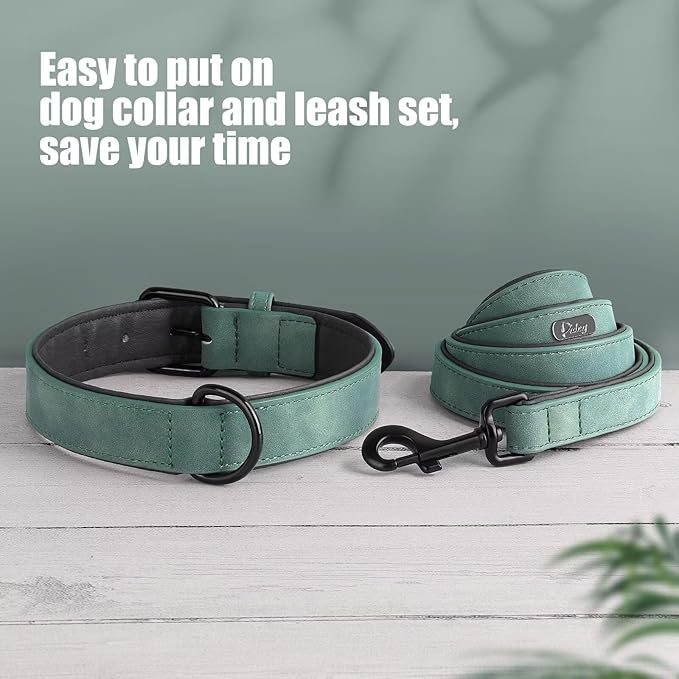Didog Soft Padded Leather Dog Collar and Leash Set, Adjustable Dog Lead and Collar Set with Metal Buckle, Breathable Pet Collars with 4FT PU Leather Leash for Small Medium Dogs, Green, M