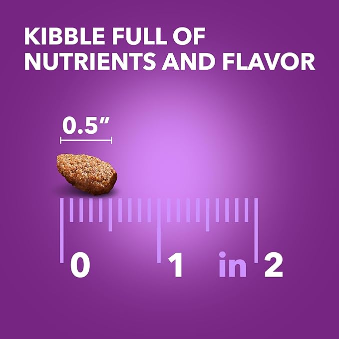 IAMS Advanced Health Skin & Coat Adult Dry Dog Food Chicken and Salmon Recipe, 36 lb. Bag