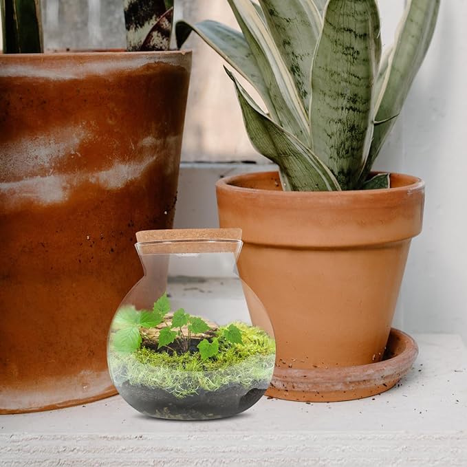 Fish Bowl with LED Light - Small Betta Fish Tank with LED Lighting and Lid Glass Fish Bowl Small Aquarium for DIY Landscape