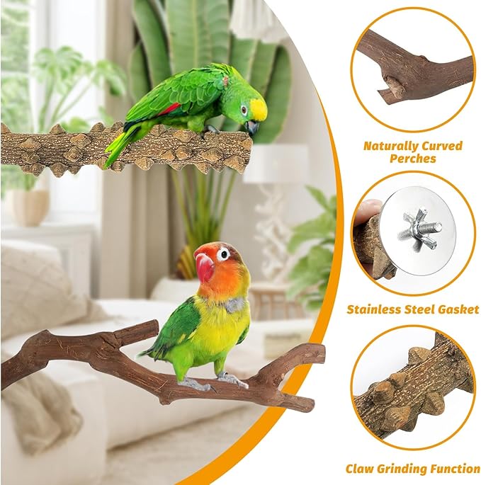 kathson 5pcs Natural Parrot Perch for Cage Wooden Bird Perches Grape Bird Stick Parakeet Climbing Standing Branches Toy Chewable Cage Accessories for Small Budgies Cockatiels Lovebirds Budgies