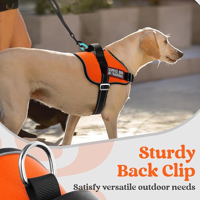 rabbitgoo Dog Harness for Large, Easy On Pet Vest with One Buckle, No Pull Adjustable Service Harness with D-Ring & Handle, Reflective for Safety Walking, Training, Orange, L