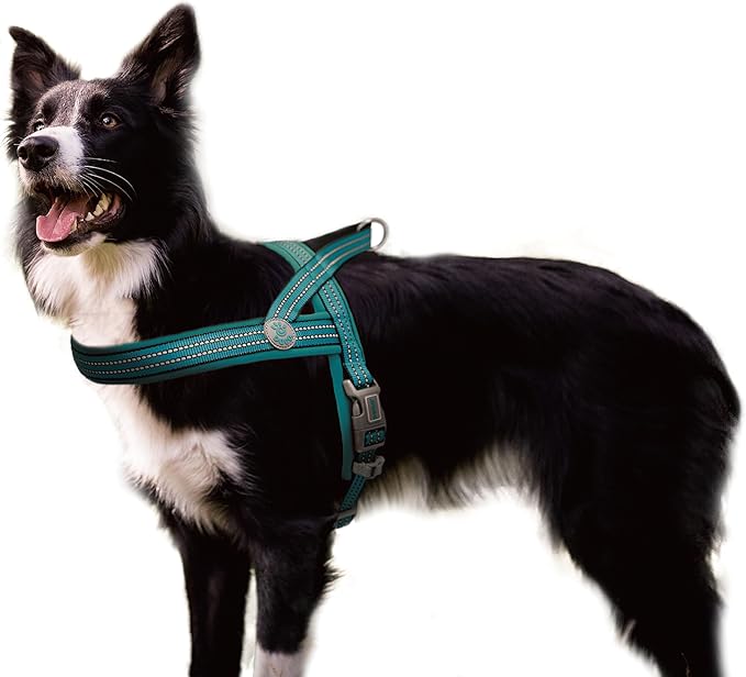 DOCO No-Pull Dog Harness Halter Reflective Easy-Control Harness for Training, Walking, and Preventing Pulling, Ideal for X-Large Dogs(Turquoise)