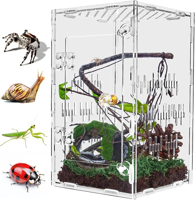 Jumping Spider Enclosure, Large Acrylic Praying Mantis Habitat, 10"*6"*6" Ventilated Insect Terrarium Cage with Front Opening Door for Small Retiles - Arboreal Tarantula, Snails, Bug, Lizard