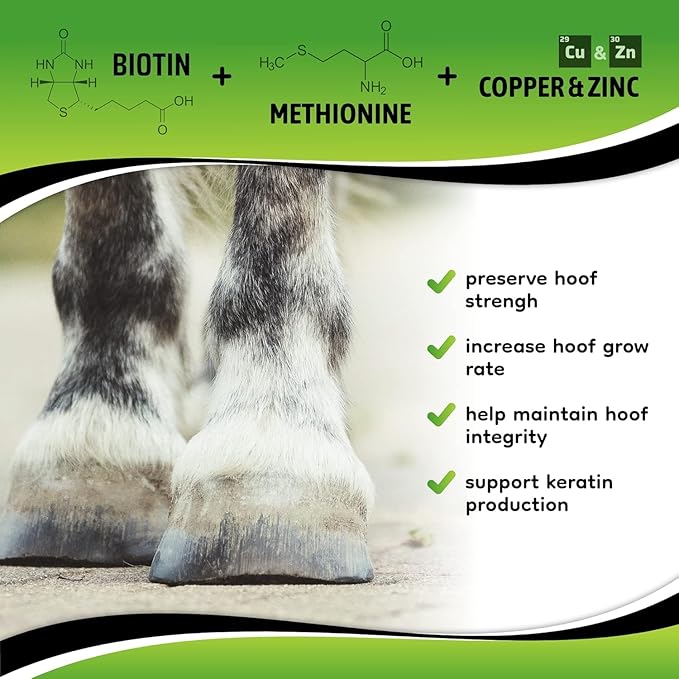 SynoStride All Natural, All-in-one, Joint and Hoof Health Supplement for Horses, Powder with Glucosamine, Chondroitin, Hyaluronic Acid, Biotin, Methionine, Trace Minerals (1080 Grams) x2