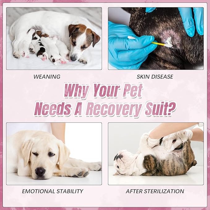 Kuoser Dog Surgery Recovery Suit, Anti Licking Pet Surgical Suit for Dogs Male Neuter, Female Dog Surgery Suit for Spay Subsititute E-Collar Cone, Dogs Body Suits After Surgery Pink Tie Dye L