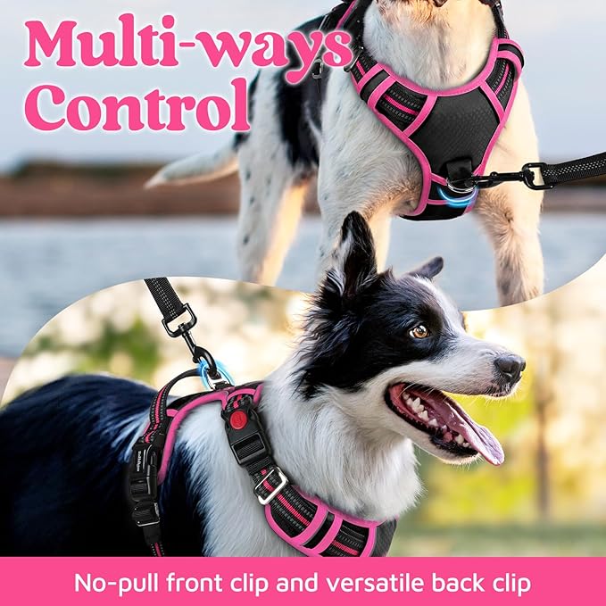 rabbitgoo Dog Harness for Large Dogs, No Pull Pet Vest with 3 Buckles, Adjustable Soft Padded Pet Harness with Easy Control Handle and Reflective Strips, Black & Rose Pink, XL