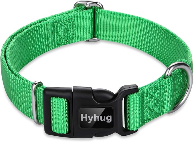 Hyhug Pets Classic Regular Heavy Duty Nylon Dog Collar (Small, Lime Green)