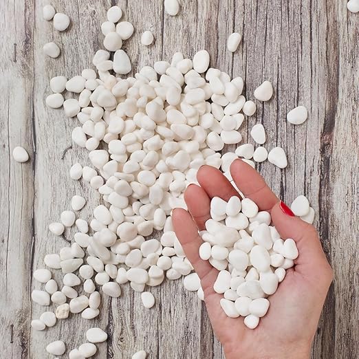 Royal Imports 30LBS River Rocks Decorative Ornamental Pebbles, Garden Landscaping Stones, Gravel Filler for Plants, Vases, Succulents, Home Decor, Aquariums, Crafting, Animal Habitat - Small White