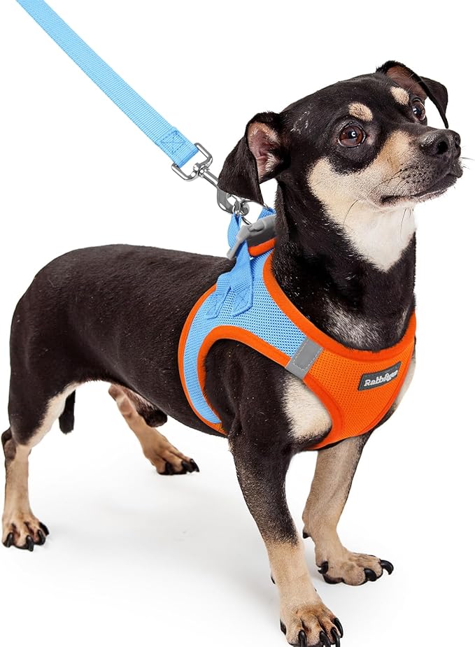 rabbitgoo Dog Harness Small Sized and Leash Set, Step in Soft Light Puppy Vest, Breathable Mesh Pet Harness, Reflective for Safe Easy Walking, Blue & Orange XXXS