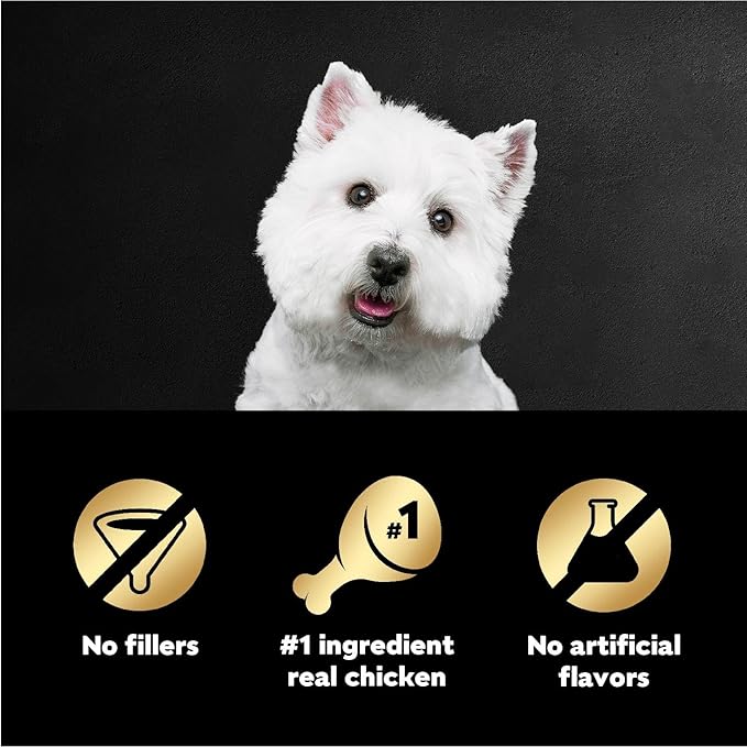 Cesar Filets in Gravy Wet Dog Food Rotisserie Chicken Flavor, 1.76 oz. Mini-Pouch (20 Count, Pack of 1)