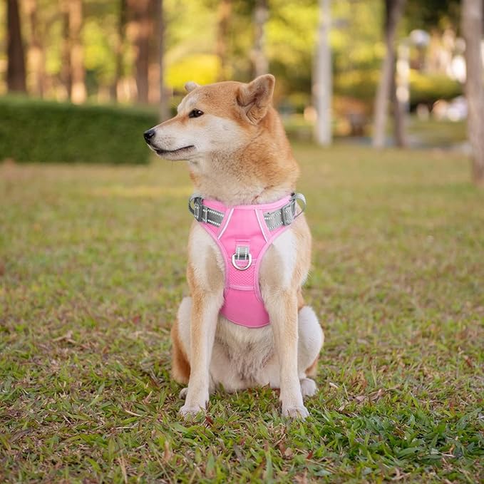 PHOEPET No Pull Dog Harness, Unique Colors Reflective Adjustable Dog Vest, with Soft Training Handle Metal Clips for Small Medium Large Dogs (Baby Pink Base & Grey Straps,XL)