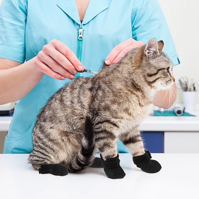 Cat Booties to Prevent Scratching: 4pcs AntiScratch Cat Claw Covers for Feeding Medicine, Pet Grooming, Bathing Shaving Checking, and Nail Trimming, Black Pet Shoes Socks Caps Mittens Paw Protector M