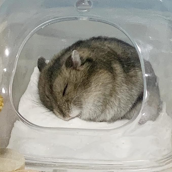 DR.DUDU Hamster Bath Sand, 6.6lb Dust Free Desert Sand or Potty Litter Sand for Hamster Chinchillas Gerbil Syrian Mice Small Animals (White)