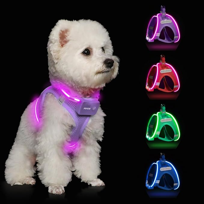 Light Up Dog Harness,Rechargeable LED Dog Harness for Small Medium Large Dogs,Reflective Lighted Safety Vest for Night Walking & Camping,Lightweight & Adjustable,Lavender Purple,M