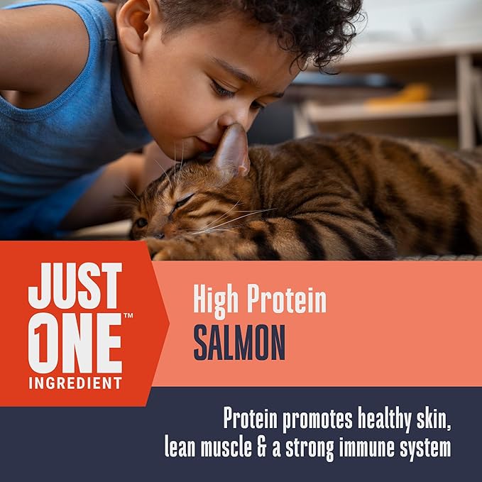 Whole Life Cat Just One Salmon Freeze Dried Cat Treats - Human Grade High Protein Food, Healthy Training Snacks, Freeze Dried Salmon Food Toppers, USA Made Natural Treats - 7.5 oz (Pack of 1)