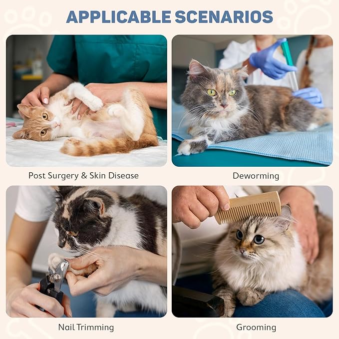 Avont Soft Cat Recovery Cone Collar, Adjustable Lightweight Kitten E-Collar for Small Dogs, Comfortable Neck Donut Stop Licking Scratching After Surgery -Skate(M)