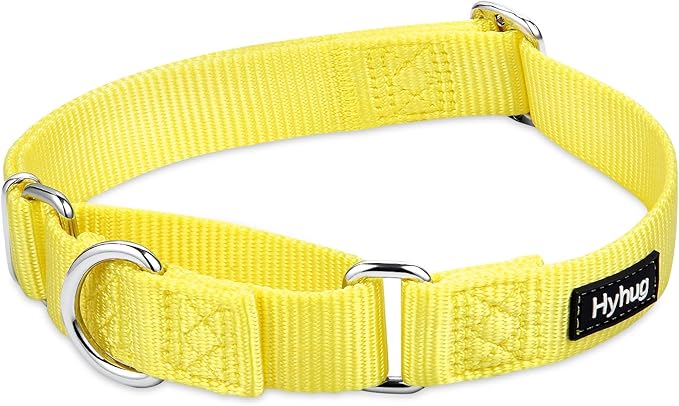 Hyhug Pets Premium Upgraded Heavy Duty Nylon Anti-Escape Medium Martingale Collar for Boy and Girl Dogs Comfy and Safe - Professional Training, Daily Use Walking. (Medium, Illuminating Yellow)