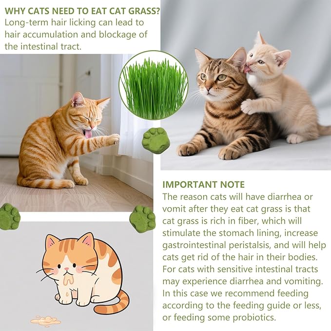 Cat Grass for Indoor Cat, 4.5 oz Cat Grass Teething Sticks, Natural Cat Dental Care Treat, Edible Snack for Teeth Cleaning and Hairball Removal