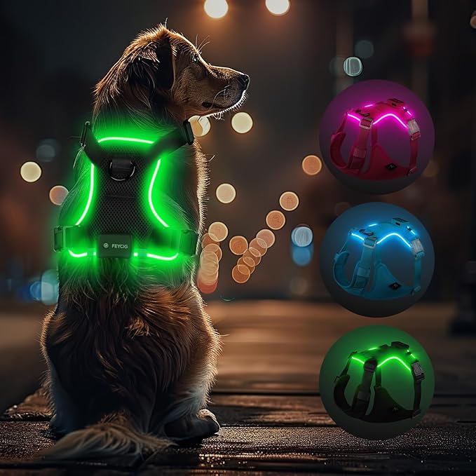 Light Up Dog Harness,No Pull Led Dog Harness Rechargeable, Reflective Lighted Safety Vest for Small Medium Large Dogs,High Visibility,4 Point Adjustable,Breathable Soft Mesh,Black,S