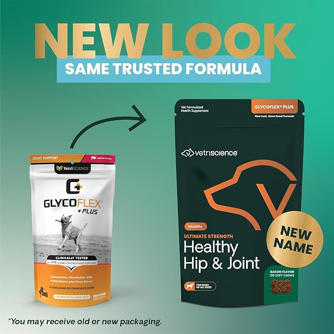 VetriScience GlycoFlex Ultimate Strength Healthy Hip & Joint Glucosamine Supplements for Dogs, with MSM, Chondroitin & Green-Lipped Mussel, Soft Chews, Bacon, 120 Count - New Look