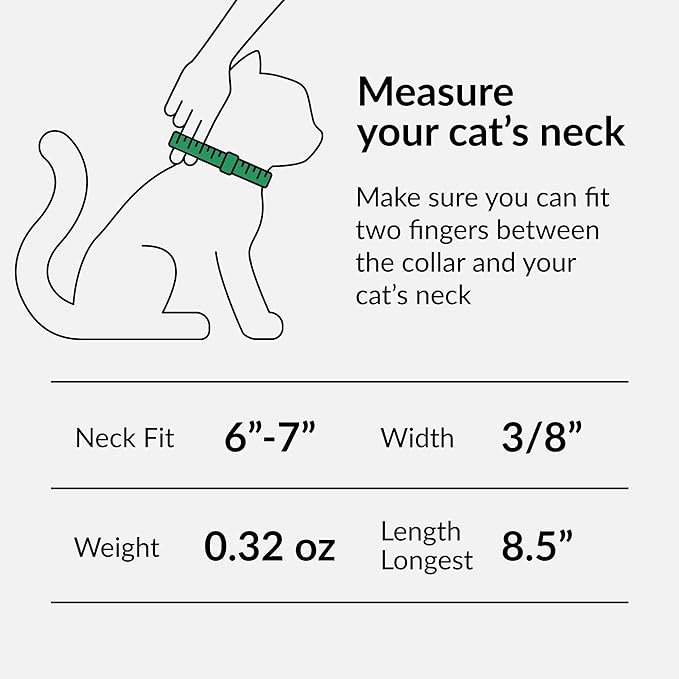 CollarDirect Leather Cat Collar with Bell - Kitten Collar, Small and Big Cat Strap for Boy Cats, Girl Cats with Safety Elastic Strap (Neck Fit 6"-7", Pink)