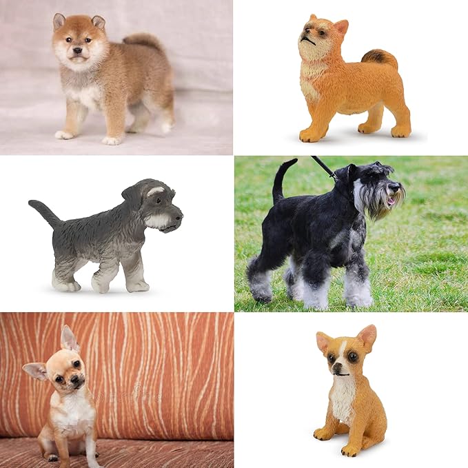 Toymany 12PCS Mini Dog Figurines Toy Set, Realistic Detailed Plastic Puppy Figures Playset, Hand Painted Dogs Animals Toy, Cake Toppers Easter Eggs Christmas Birthday Gift for Kids Toddlers