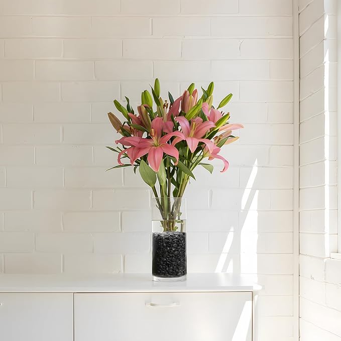 Mr. Fireglass Black Polished Pebbles, 3/8" Aquarium Rocks Natural Decorative River Rocks Gravel for Indoor Plants,Vases, Landscaping, Succulents and Home Decor (2-lb Bag)