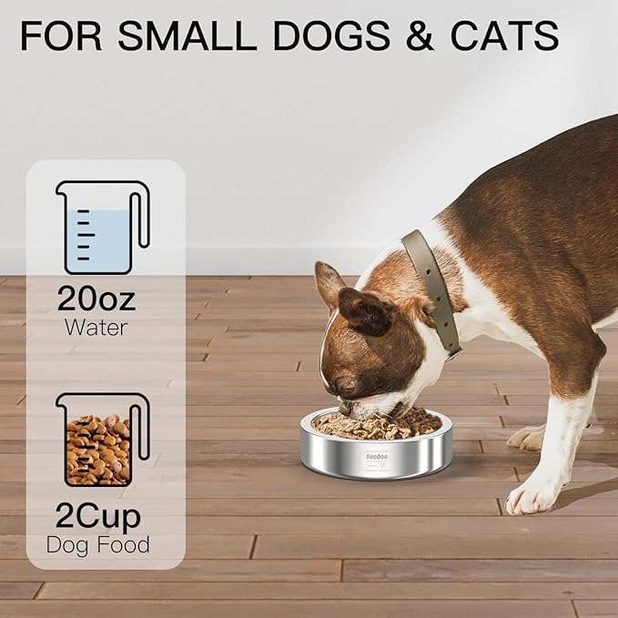 20oz Stainless Steel Cat Food & Water Bowl - Double Walled 304 Stainless Steel Non-Slip Cat Dish | BPA-Free & Dishwasher Safe for Indoor Cats