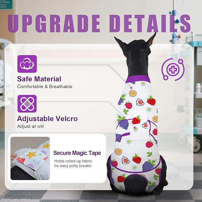 Recovery Suit for Dogs After Surgery, Professional Dog Surgical Suit for Female Spay, Male Neuter, E-Collar & Cone Alternative Dog Onesie for Abdominal Wounds Skin Disease, Purple, XXL
