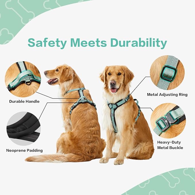 CLEPAWS Dog Harness for Medium Dogs, No Pull Dog Harness Easy Walk with Metal Hardware, Ergonomic Y-Shaped Design, Soft Padding, Padded Handle, Durable High-Tensile Nylon (Seabreeze, M)