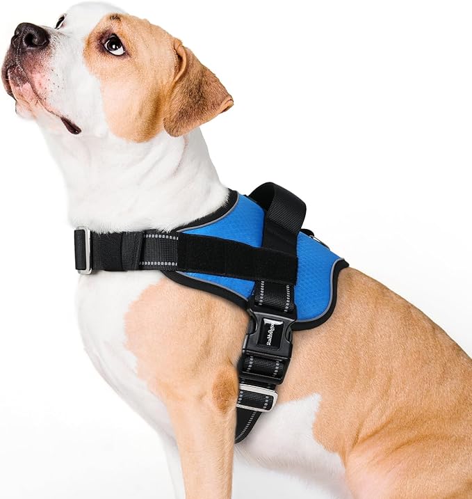 rabbitgoo Dog Harness for Large, Easy On Pet Vest with One Buckle, No Pull Adjustable Service Harness with D-Ring & Handle, Reflective for Safety Walking, Training, Blue, L