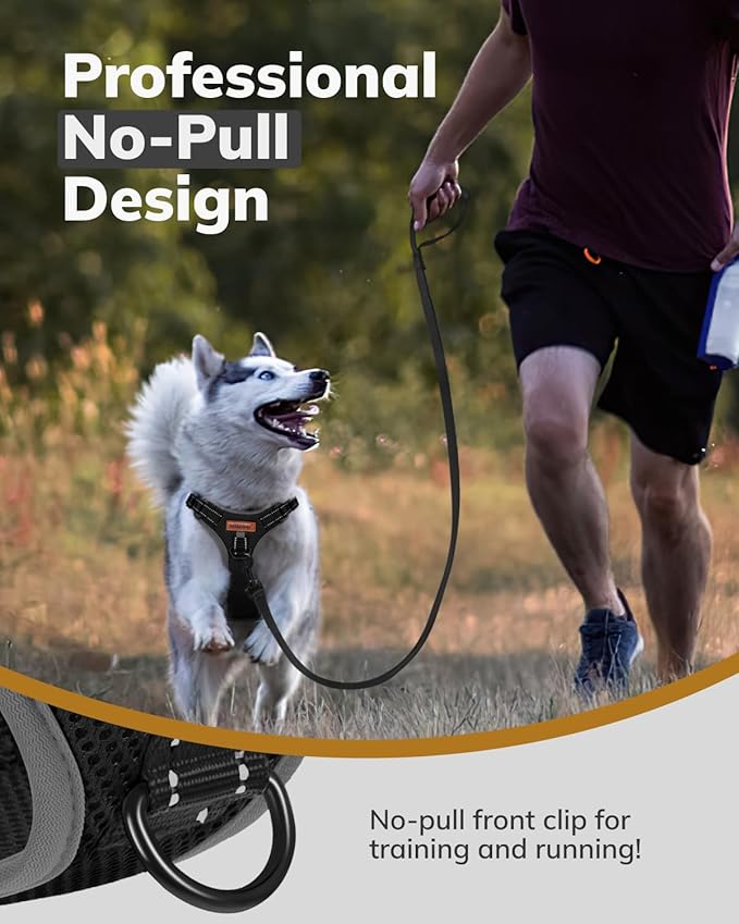 MIDOG No-Pull Dog Harness | Adjustable & Reflective Pet Harness Leash Set for Small Medium Large Dogs Walking, Training| No Choke, Front Clip, Soft Padded Vest with Easy Control Handle - Black, S