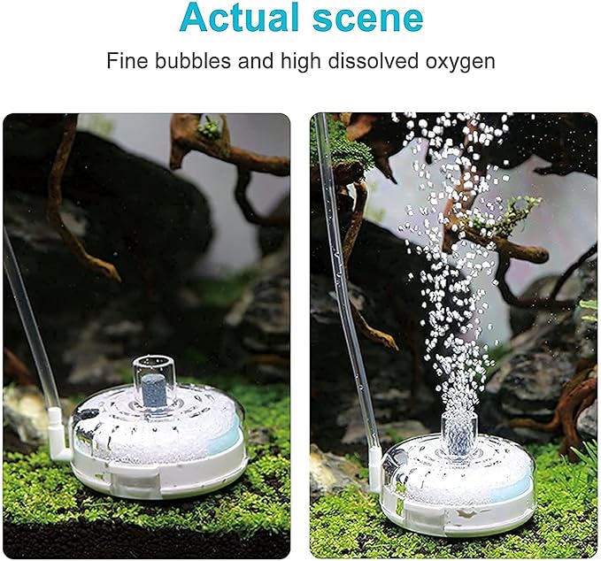 UPETTOOLS Mini Aquarium Sponge Filter, Small Internal Fish Tank Filter Detachable Submersible Filter with Air Stone auxiliary filter Suitable for 5-20 Gallon Tank (Air Pumps and Air Tube not Included)