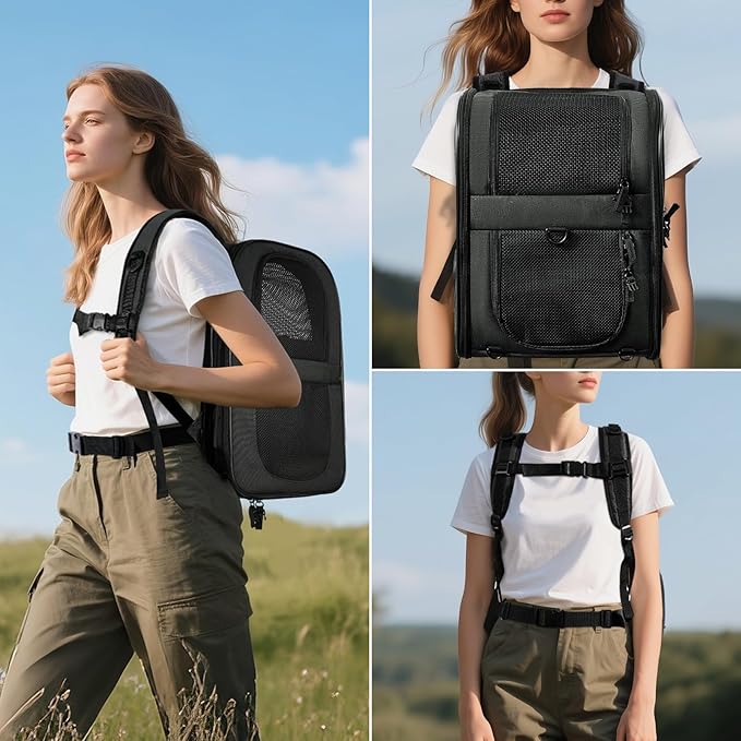 Apollo Walker Pet Carrier Backpack for Large/Small Cats and Dogs, Puppies, Safety Features and Cushion Back Support for Travel, Hiking, Outdoor Use (Black-Expandable)